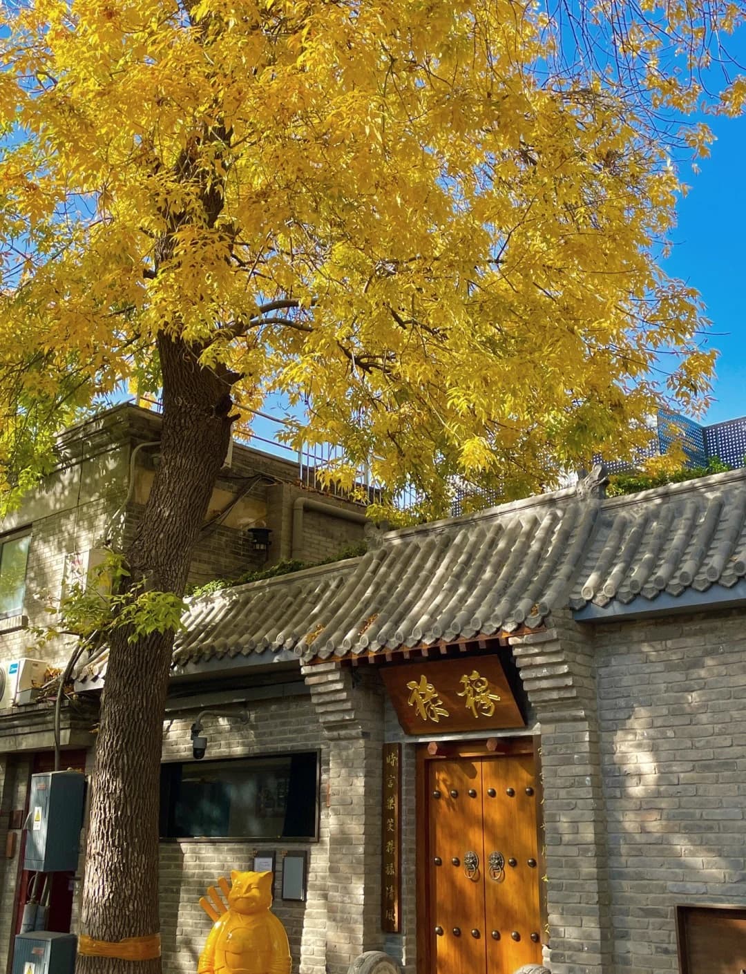 A grey-brick courtyard frontage beneath yellow autumn leaves in Dongsi