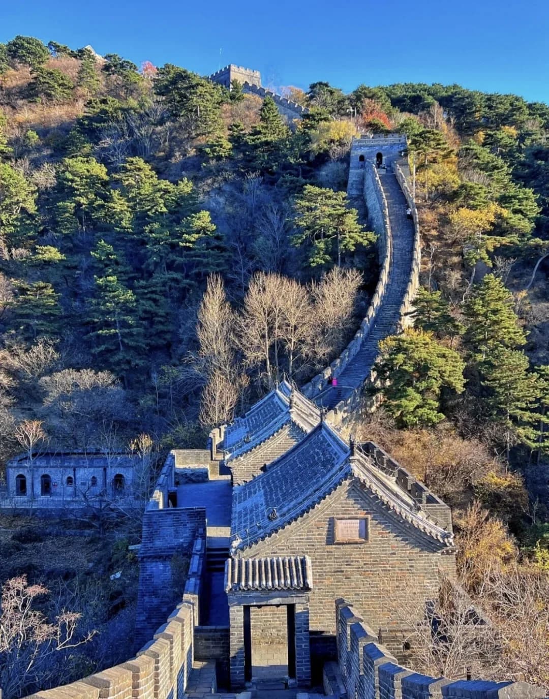 Great Wall watchtowers and steep steps winding through wooded hills at Mutianyu