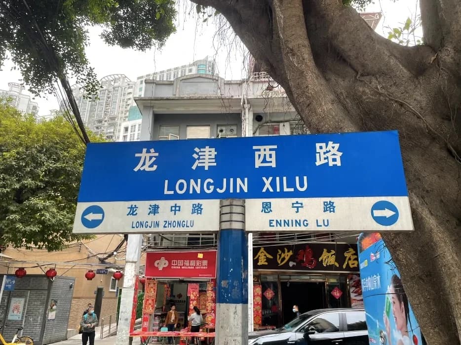 A blue Longjin West Road sign above neighborhood shops beneath a large tree.