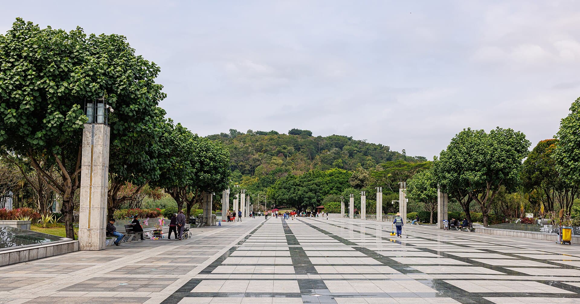 A tree-lined plaza leading towards Lianhuashan Park in Shenzhen