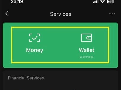 Older WeChat Services screen showing the Money and Wallet entries near the top of the page