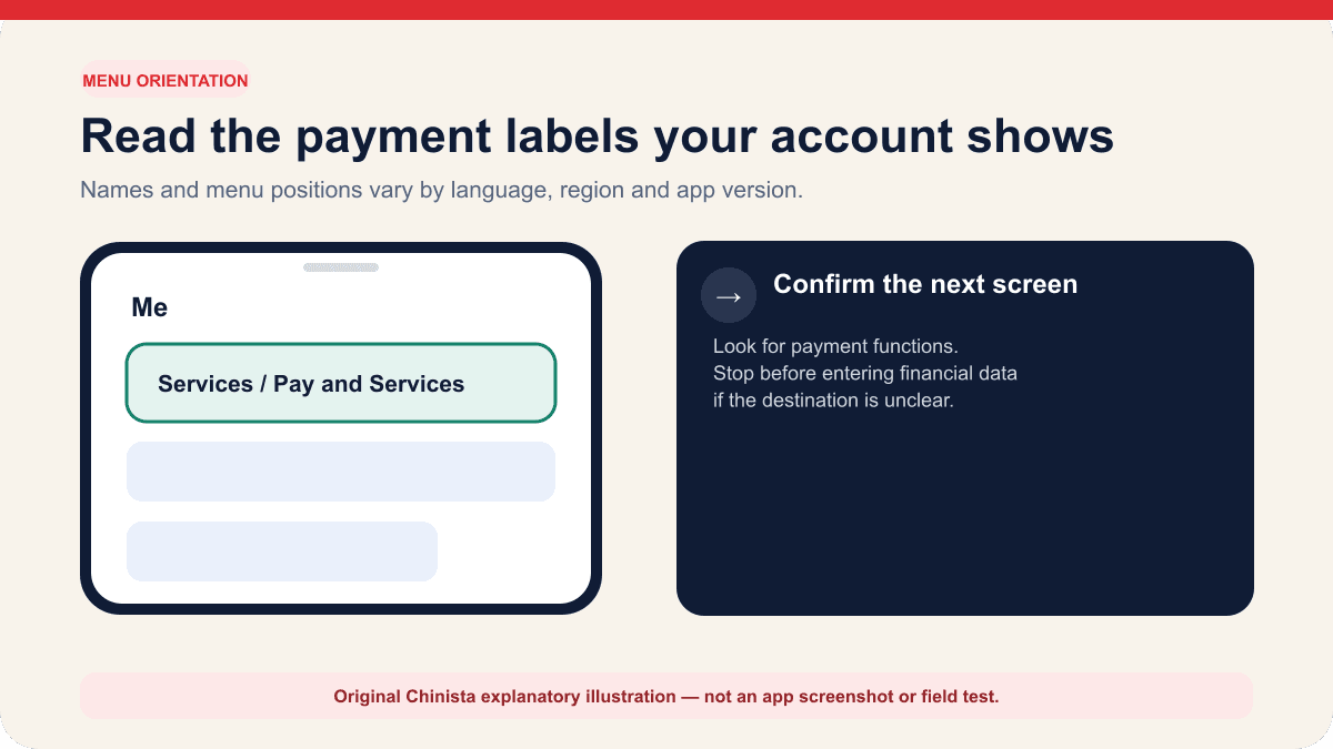 Chinista menu-orientation diagram highlighting Services or Pay and Services and advising the reader to confirm the next screen